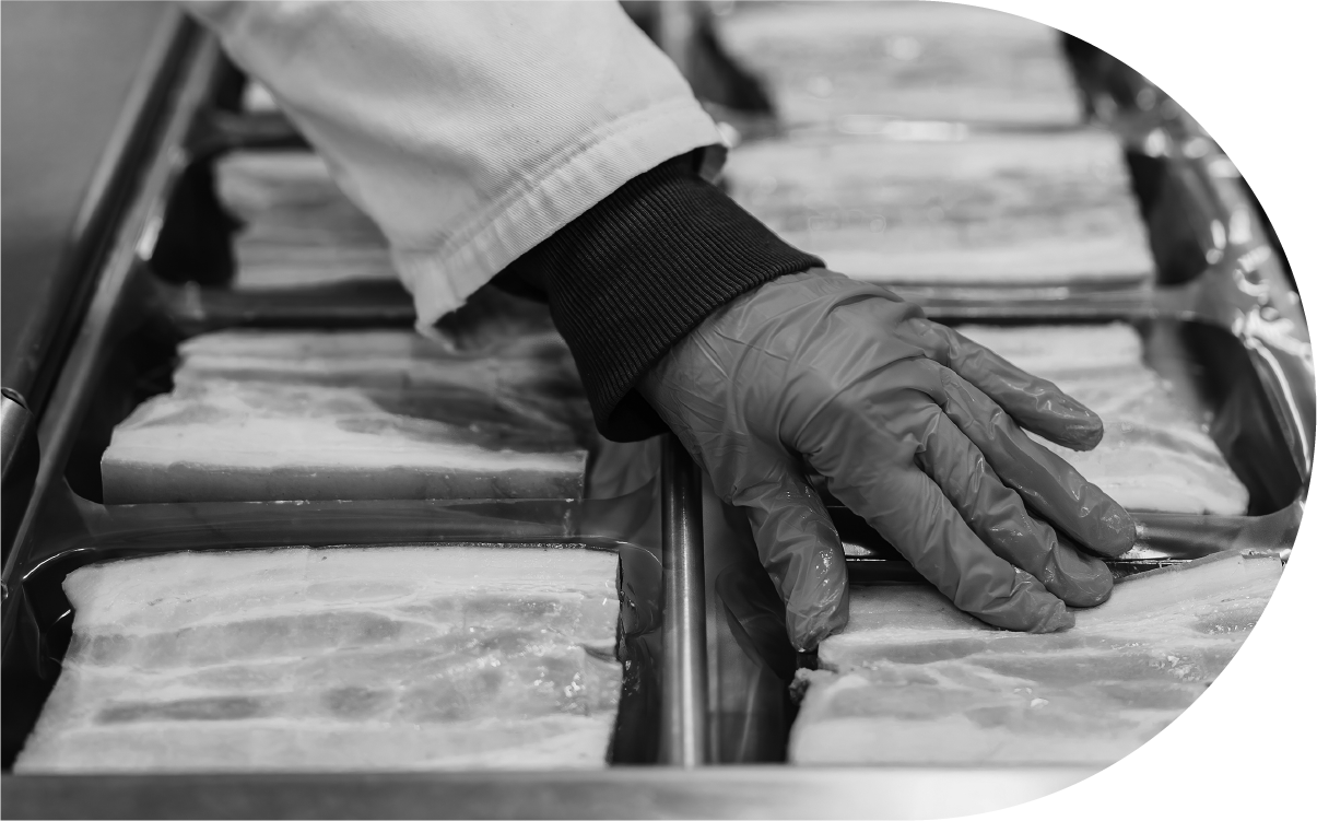 danubio-partners-image-05